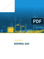 QER AppendixB NaturalGas PDF