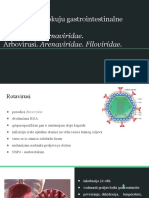 Virusi Koji Uzrokuju Gastrointestinalne Infekcije. Picornaviridae. Arbovirusi.