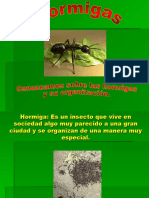 Las Hormigas y Su Organización - Pps