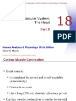 The Cardiovascular System: The Heart: Part B