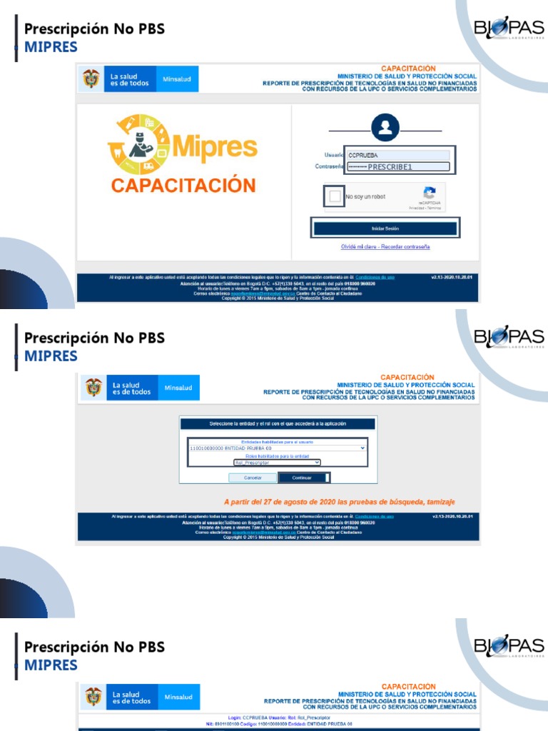 Diligenciamiento Mipres | PDF