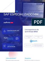 SAPMM - Brochure Actual PDF