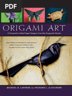 Origami Art_ 15 Exquisite Folded Paper Designs from the Origamido Studio ( PDFDrive )