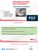 Seguridad Humana 1