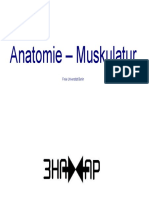 o-muskeln.pdf