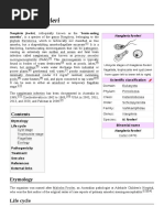 Naegleria Fowleri: Naegleria Fowleri Naegleria Fowleri, Colloquially Known As The "Brain-Eating