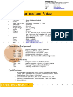 Curriculum Vitae 2