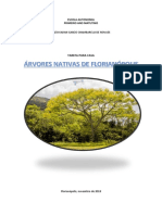 Árvores nativas e invasoras de Florianópolis