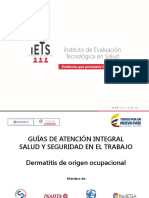 Presentación Gatisst Dermatitis