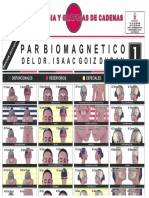 Laminas Par Biomagnético para imprimir.pdf