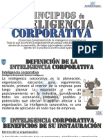 Inteligencia Corporativa, Principios