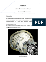 Cerebelo_0.pdf