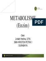 Metabolisme (Enzim)