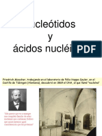 Acidos Nucleicos 