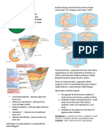 Gondwana Is Composed of Africa, Antartica, South Laurasia - Asia, North America, and Europe