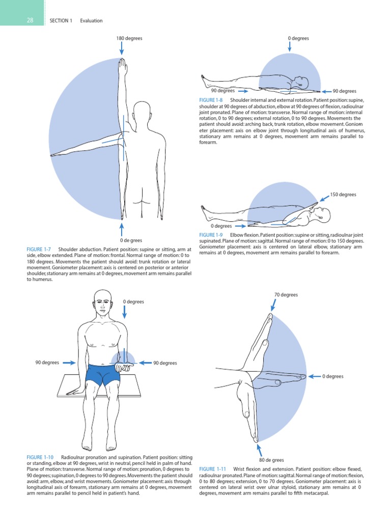 Rom PDF | Download Free PDF | Anatomical Terms Of Motion | Elbow