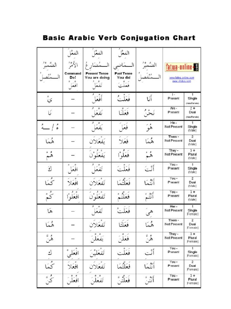 7903398 Basic Arabic Verb Conjugation Chart