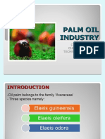 Palm Oil Industry (Jan09)