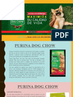 Dog Chow - Purina