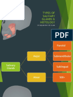 Types of Salivary Glands & Histology