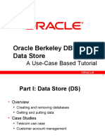 Oracle Berkeley DB Data Store: A Use-Case Based Tutorial