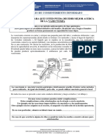 Formulario de Consentimiento Informado VASECTOMIA