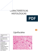 Características histológicas.pptx