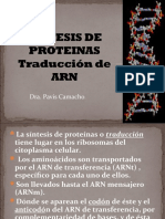 SINTESIS DE PROTEINAS Traducción de ARN