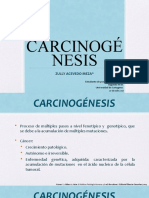 Carcinogénesis 2 _ Zully Acevedo.pptx