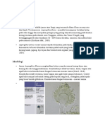 Bahan Makalah Biomedik-Aspergillus Flavus