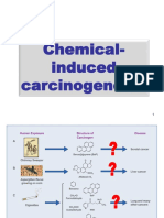 ENSC 3520 - Chemical-Induced Carcinogenesis - Students PDF