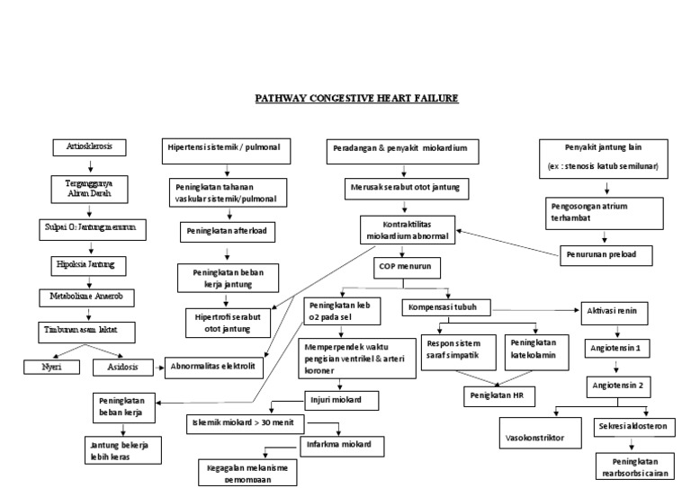 1 Pathway Congestive Heart Failure | PDF