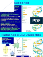 Nucleic Acid: 1) DNA (Deoxyribonucleic Acid) 2) RNA (Ribonucleic Acid)