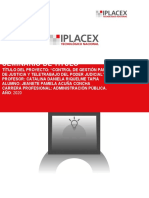 Plantilla Informe Carrera Profesional.