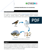 Plantilla de La Actividad Identificamos Los Ecosistemas