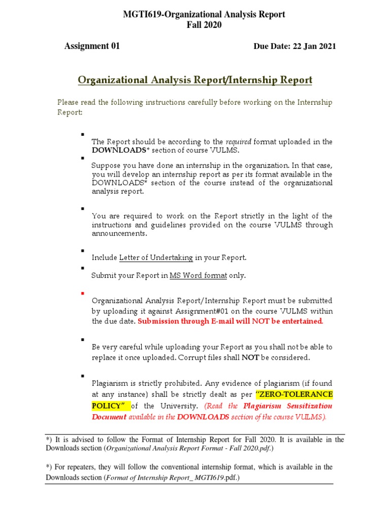Organizational Analysis Report/Internship Report | PDF | Computing And ...