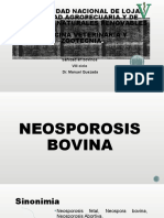 NEOSPOROSIS