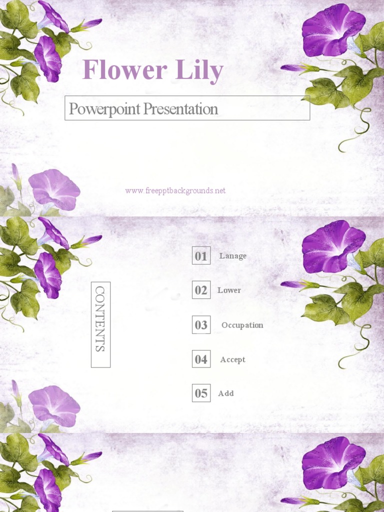 Flower Lily PowerPoint Overview | PDF | Microsoft Power Point
