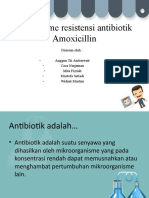 Resistensi Amoxicillin