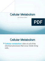 Cellular - Metabolism 1