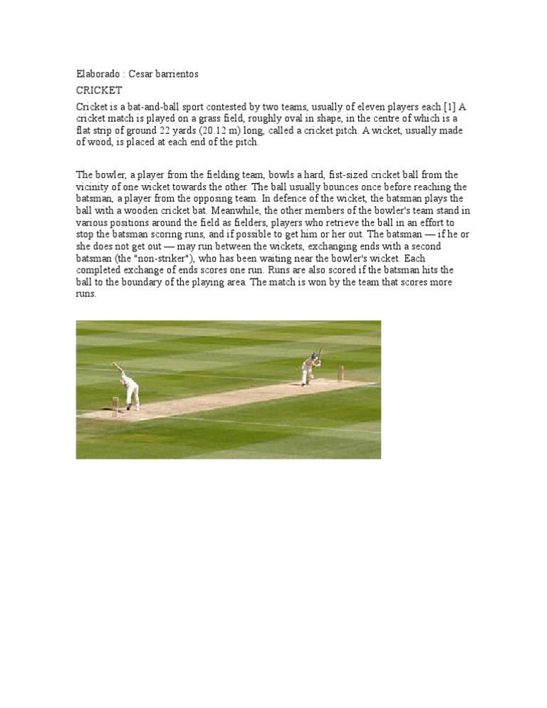 Cricket | PDF