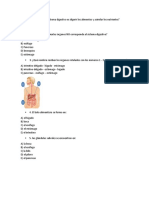 La función del sistema digestivo es digerir los alimentos y asimilar los nutrientes.docx