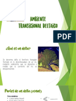 Ambiente Transicional Deltaico (Presentacion)