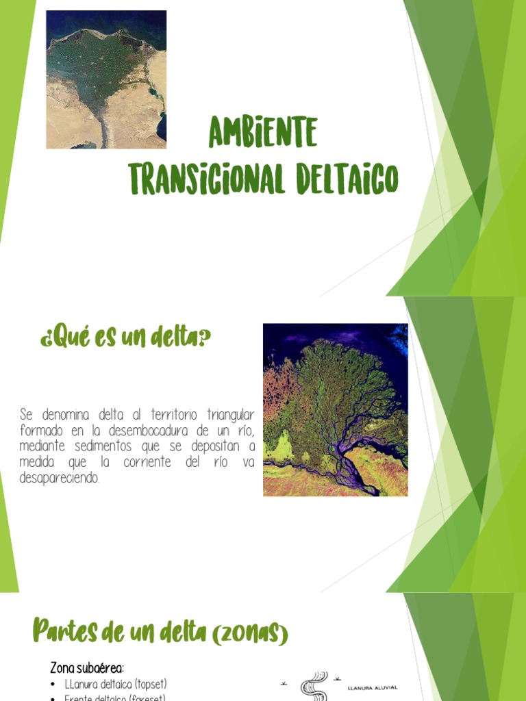 Ambiente Transicional Deltaico (Presentacion) | PDF | rio Delta | Río