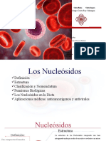 Los Nucleosidos VIRGINIA ESTHER MAIRENA ROBLETO