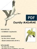 Madarak Osztálya