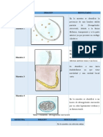 Resultados Parasitologia