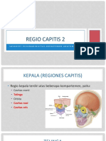 anatomi telinga hidung lidah