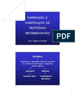 14 - Expressao - e - Purificacao - Proteinas - Recombinantes