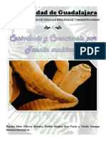 Cestodosis y Coneurosis Por Taenia Multiceps PDF